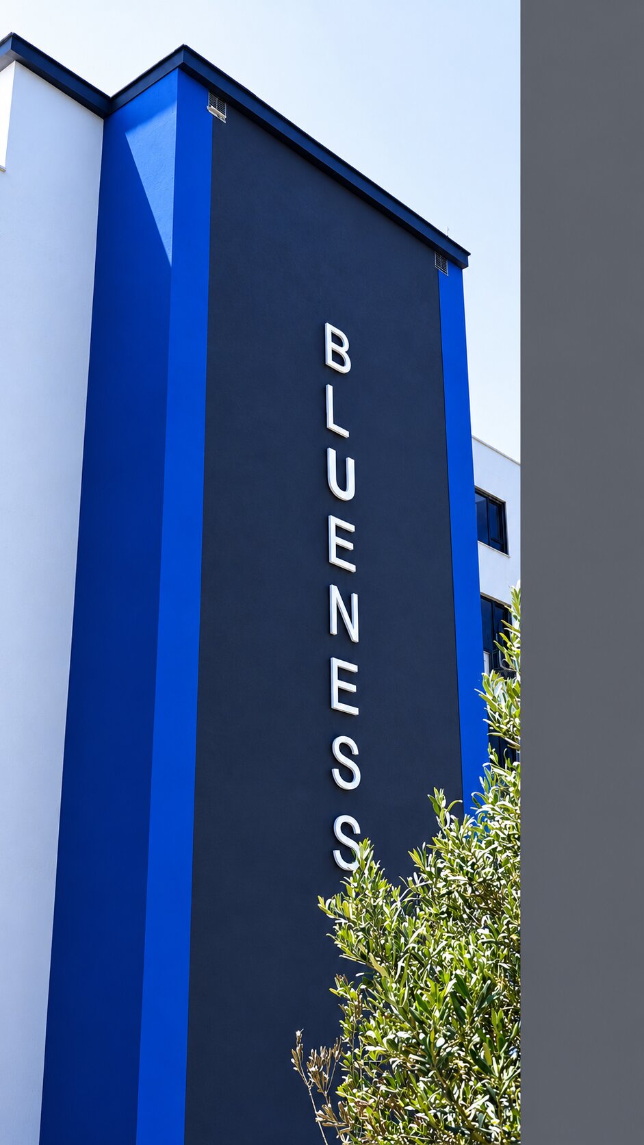 BLUENESS